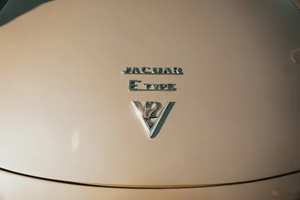 Untold Kasino Apl Android/iOS